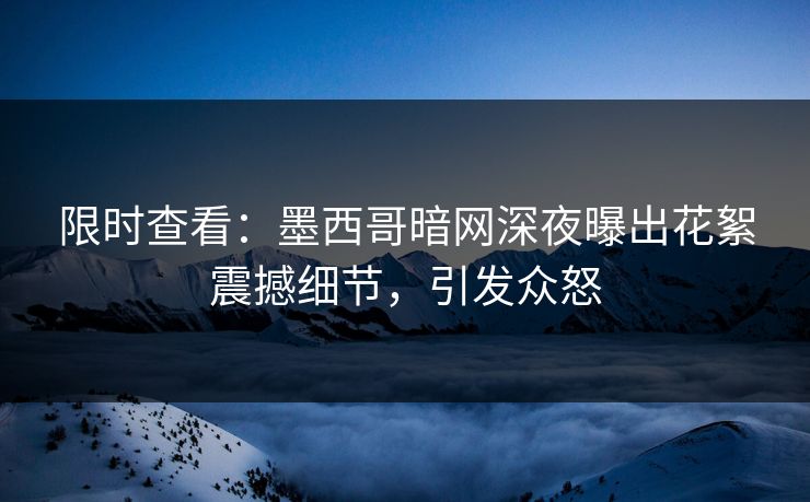 限时查看：墨西哥暗网深夜曝出花絮震撼细节，引发众怒