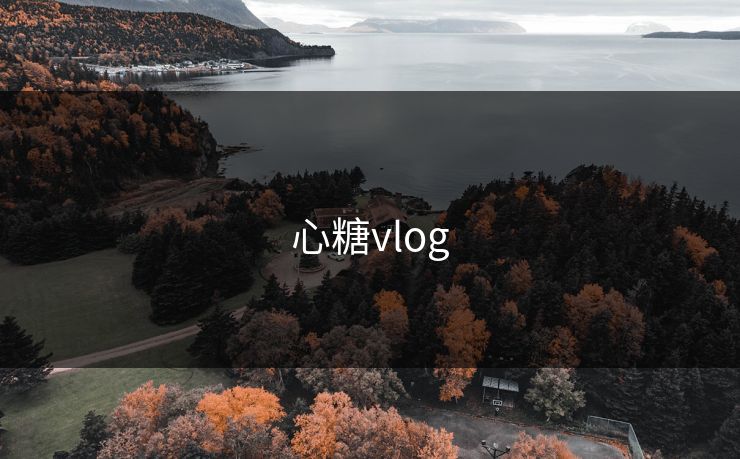 心糖vlog