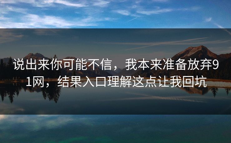 说出来你可能不信，我本来准备放弃91网，结果入口理解这点让我回坑